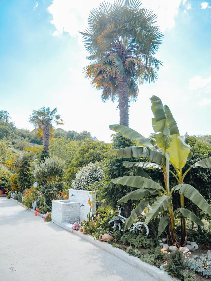 Apartments Gjenashaj Ulcinj Luaran gambar